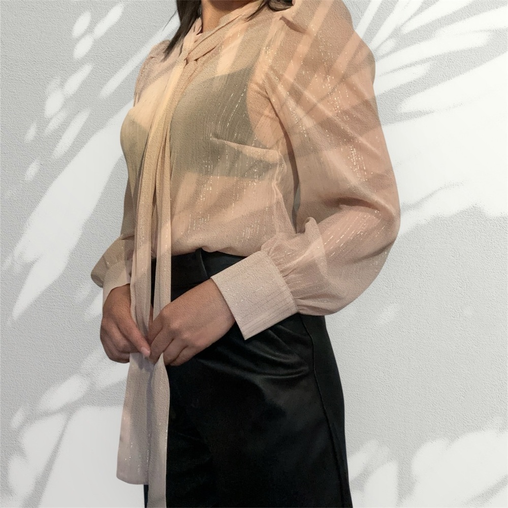 Lizette Collection Elegant Sheer Blouse in Soft Pink